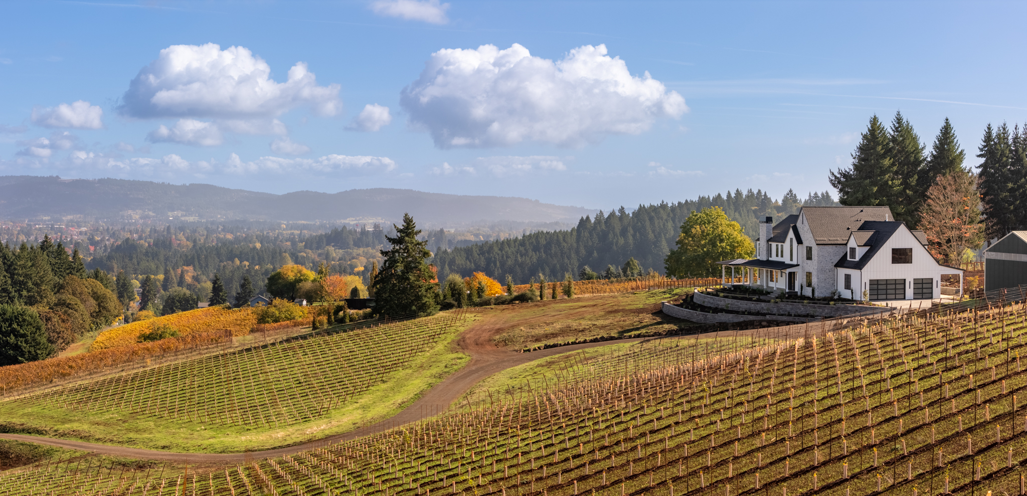 LUXURY VINEYARD ESTATE IN THE HEART OF DUNDEE HILLS AVA